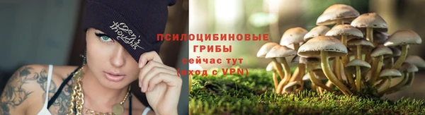 spice Алзамай