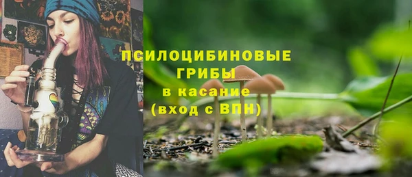 ешки Алексеевка