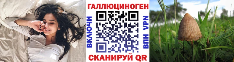 Псилоцибиновые грибы Psilocybine cubensis  Туймазы 