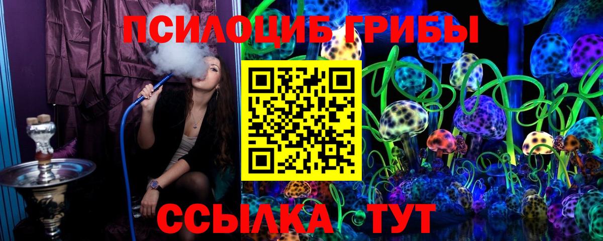 Галлюциногенные грибы Cubensis  Вход с VPN  Туймазы 